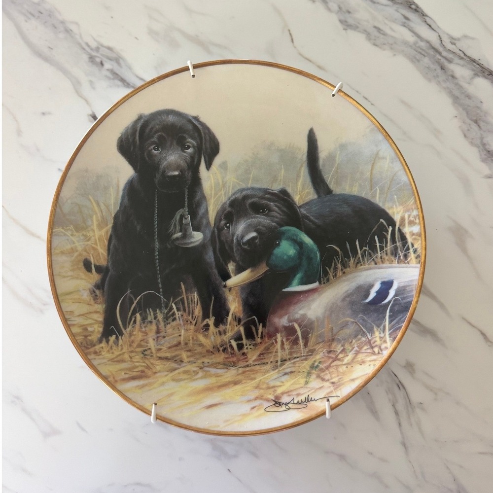 Franklin Mint Beginners Luck Black Lab Puppy Duck Limited Edition Plate 1991